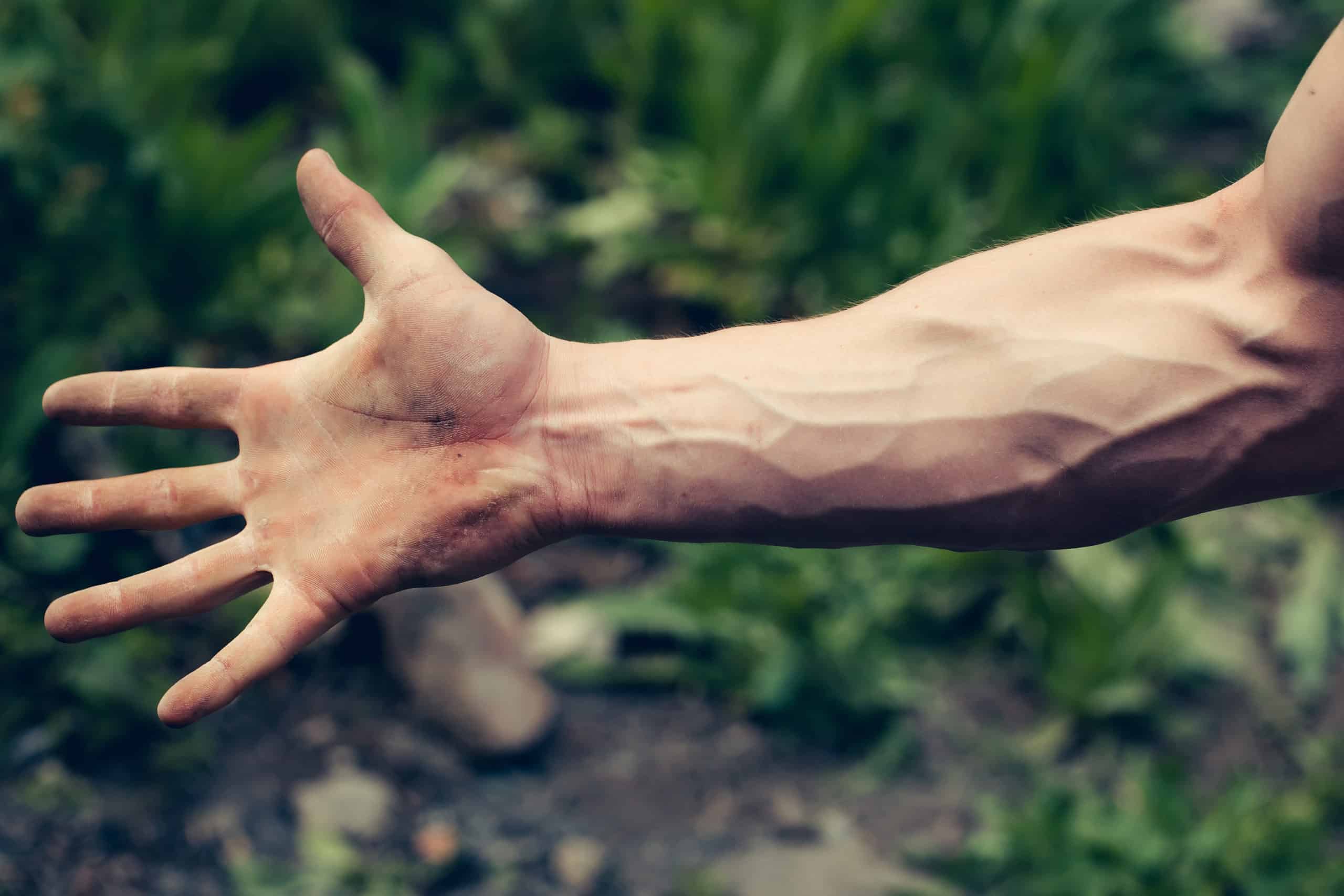 an arm with healthy veins